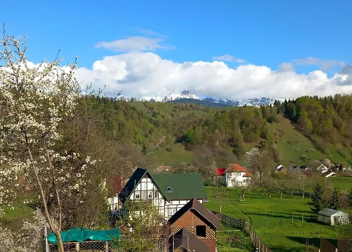 Pensiunea BrianPensiune